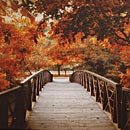 Fall Footbridge Framed Print
