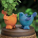 Bird Pots