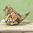 Potpourri Bird