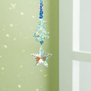 Evening Star Rainbow Maker