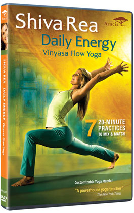 Daily Energy: Vinyasa Flow Yoga