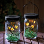 Fireflies Lanterns